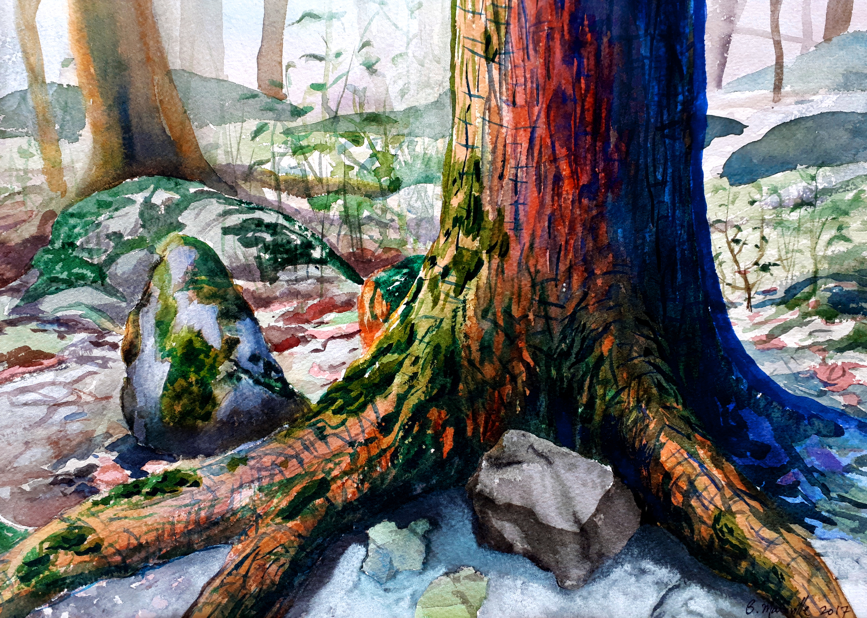 erable_mt-royal_8x11